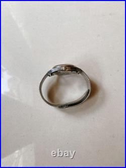 Technos Skylight Roof Window Venting Skylight Natural Light Ventilation